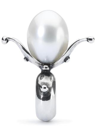 Alt du har brug for at vide om sølv spacer