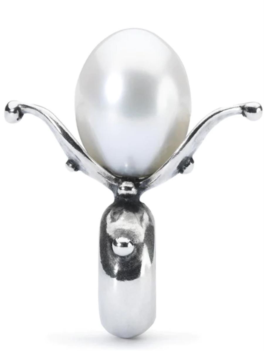 Alt du har brug for at vide om sølv spacer